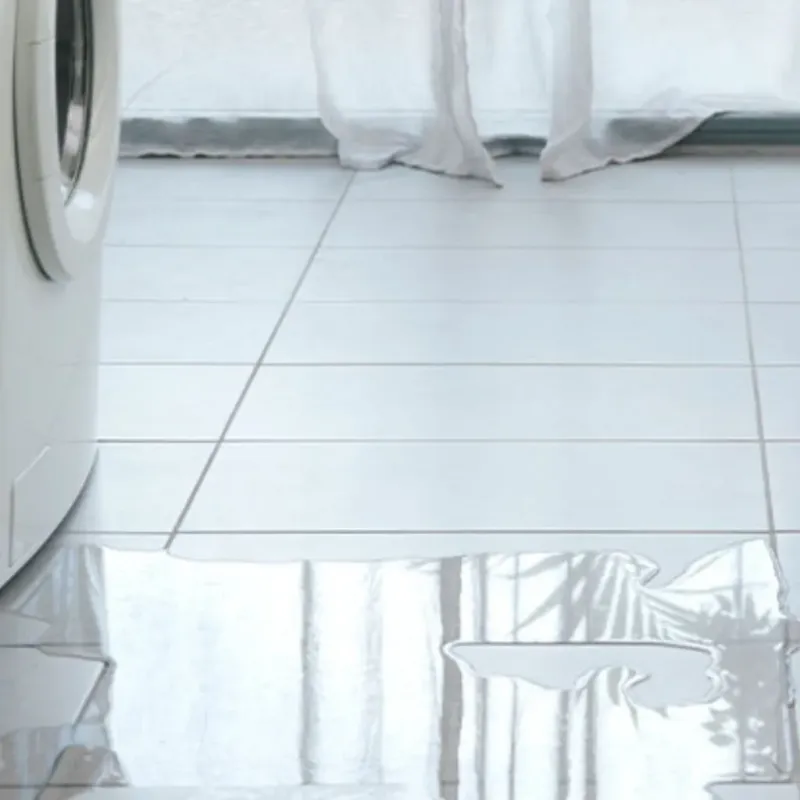 Appliance Leak Cleanup in Colbert County, AL