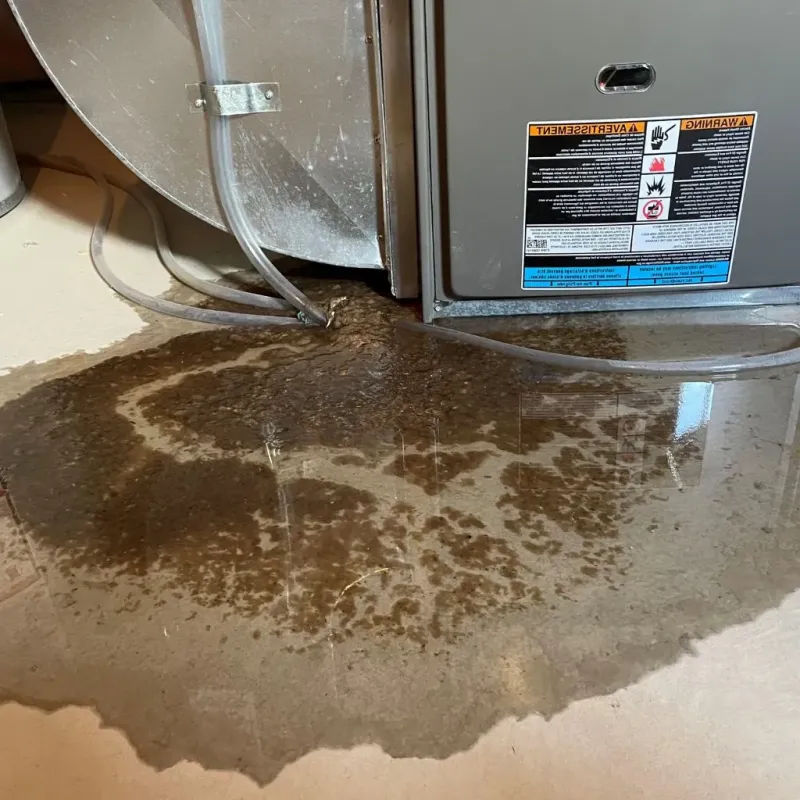 Pipe Burst and Leak Restoration in Colbert County, AL