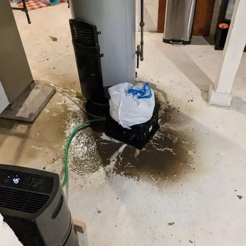 Sewage Backup Cleanup Service in Colbert County, AL